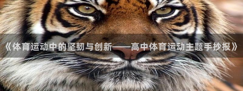 斗体育NBA免费观看：《体育运动中的坚韧与创新——高中体育运动主题手抄报》