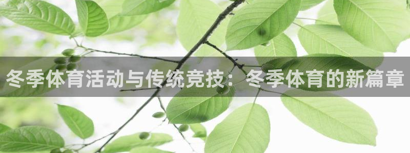 斗体育凯文：冬季体育活动与传统竞技：冬季体育的新篇章