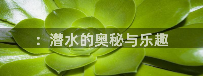斗体育百科：：潜水的奥秘与乐趣